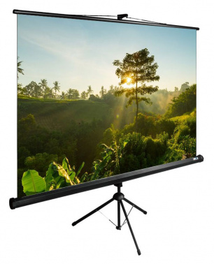 Экран Cactus 200x200см TriExpert CS-PSTE-200x200-BK