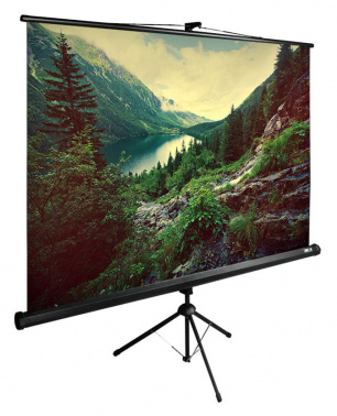Экран Cactus 220x220см TriExpert CS-PSTE-220x220-BK