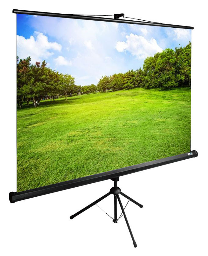 Экран Cactus 150x200см TriExpert CS-PSTE-200x150-BK 4:3 напольный рулонный черный