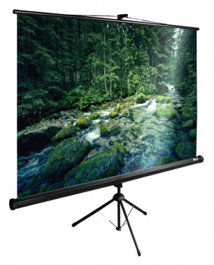 Экран Cactus 165x220см TriExpert CS-PSTE-220x165-BK