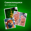 Фотобумага Cactus CS-GSA413050 A4/130г/м2/50л. глянцевое самоклей. для струйной печати 