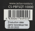 Мобильный аккумулятор Cactus CS-PBFSQT-10000 10000mAh QC/PD 18W 3A USB-A/USB-C беспров.зар. черный 