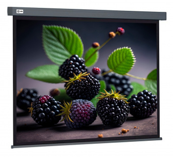 Экран Cactus 127x127см Wallscreen CS-PSW-127X127-SG