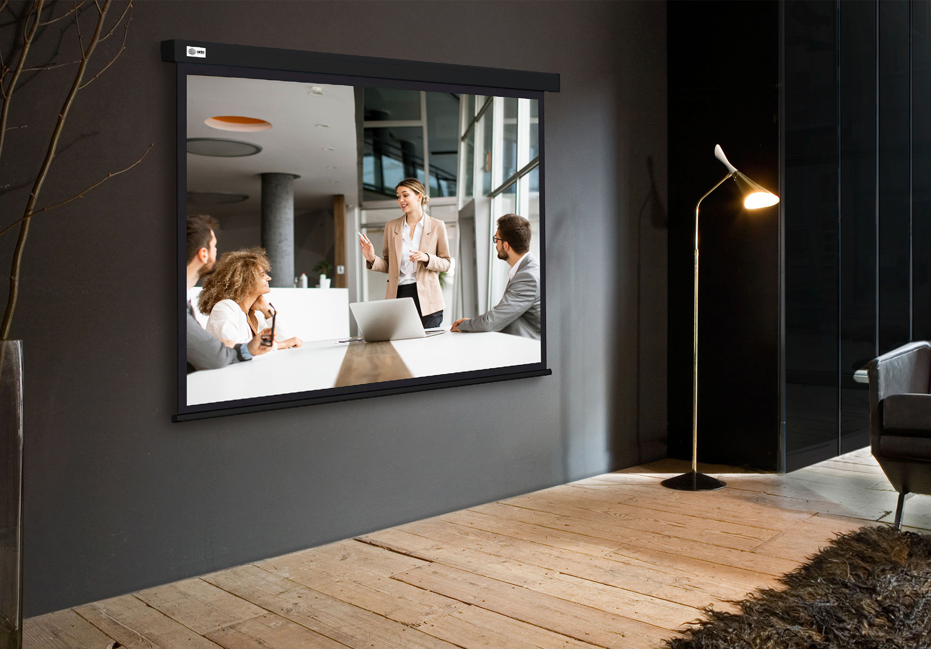 Экран Cactus 168x299см Wallscreen CS-PSW-168X299-BK 16:9 настенно-потолочный рулонный черный