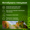 Фотобумага Cactus CS-GA6180500ED A6/180г/м2/500л./белый глянцевое для струйной печати
