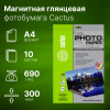 Фотобумага Cactus CS-MGA469010 A4/690г/м2/10л./белый глянцевое/магнитный слой для струйной печати
