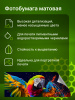 Фотобумага Cactus CS-MA6250500ED A6/250г/м2/500л./белый матовое/матовое для струйной печати