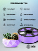 Пластик для принтера 3D Cactus CS-3D-ABS-1KG-PURPLE ABS d1.75мм 1кг L386м 1цв.