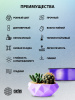 Пластик для принтера 3D Cactus CS-3D-PETG-1KG-T-PURPLE PETG d1.75мм 1кг L316м 1цв.