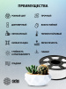 Пластик для принтера 3D Cactus CS-3D-PETG-1KG-WHITE PETG d1.75мм 1кг L316м 1цв.