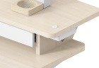 Стол для компьютера Cactus  CS-EDL-DWT  электропривод столешница ДСП светлый дуб каркас белый 120x72x60см