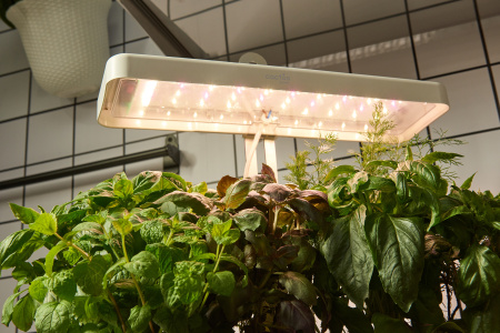 Гидропонная установка Cactus Garden 3л 20Вт белый (CS-LEDPOT-08)