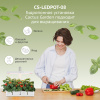 Гидропонная установка Cactus Garden 3л 20Вт белый (CS-LEDPOT-08) 