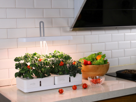 Гидропонная установка Cactus Garden 3л 20Вт белый (CS-LEDPOT-08)