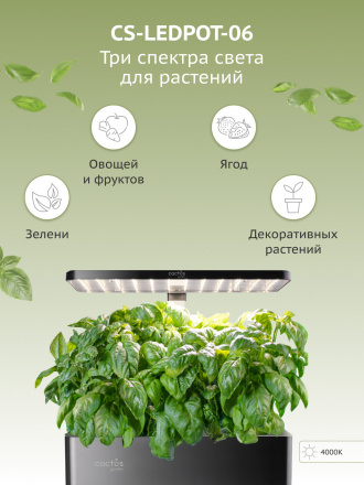 Гидропонная установка Cactus Garden 3л 24Вт черный (CS-LEDPOT-06)