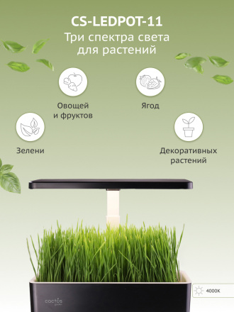Гидропонная установка Cactus Garden 3.0л 24Вт черный (CS-LEDPOT-11)