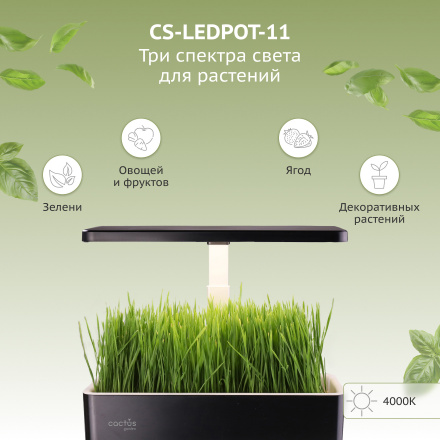 Гидропонная установка Cactus Garden 3.0л 24Вт черный (CS-LEDPOT-11)