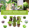 Набор питательных губок Cactus CS-SPONGE-20 для проращивания (упак.:20шт) коробка 