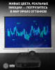 Проектор Cactus Bright CS-V1.B 3LCD 4000Lm ANSI (1024x768) 30000:1 ресурс лампы:10000часов 1xUSB typeA 1xUSB typeB 2xHDMI 4кг