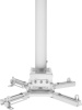 Кронштейн для проектора Cactus  CS-PROF021M-WT  белый макс.35кг потолочный поворот и наклон