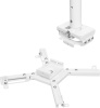 Кронштейн для проектора Cactus  CS-PROF031L-WT  белый макс.35кг потолочный поворот и наклон
