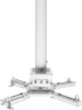 Кронштейн для проектора Cactus  CS-PROF031L-WT  белый макс.35кг потолочный поворот и наклон
