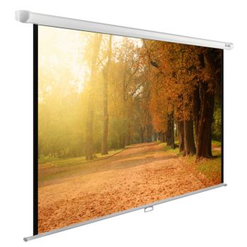 Экран Cactus 125x200см WallExpert CS-PSWE-200x125-WT
