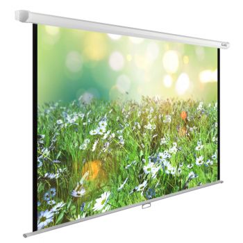 Экран Cactus 200x200см WallExpert CS-PSWE-200x200-WT