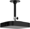 Кронштейн для проектора Cactus  CS-WMS-13  черный макс.3кг настенный и потолочный поворот и наклон