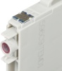 Картридж струйный Cactus  CS-EPT1716  17XL черный/желтый/голубой/пурпурный набор (44.6мл) для Epson XP-33 с чипом