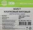 Холст Cactus  CS-MC340-106715  42