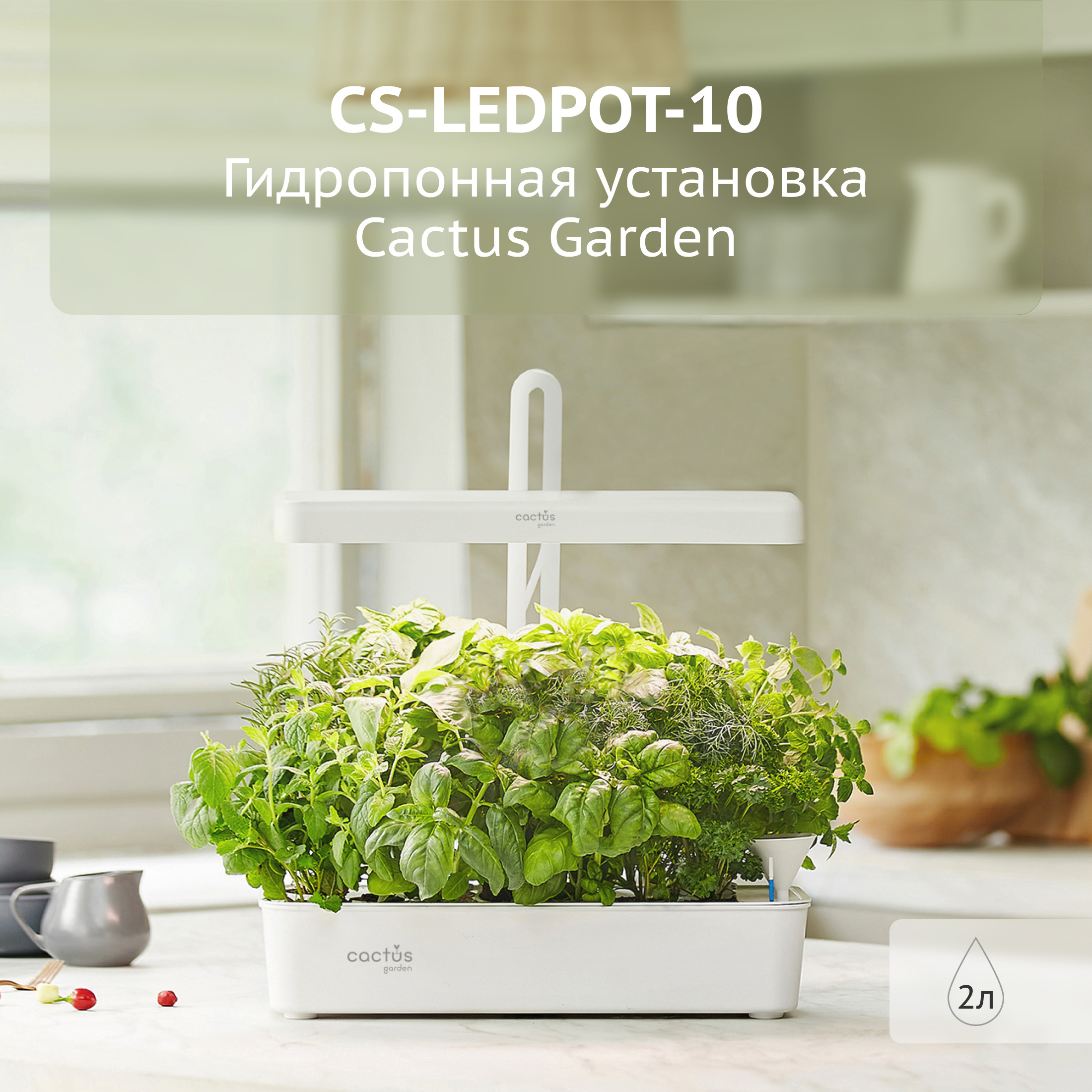 CS-LEDPOT-10