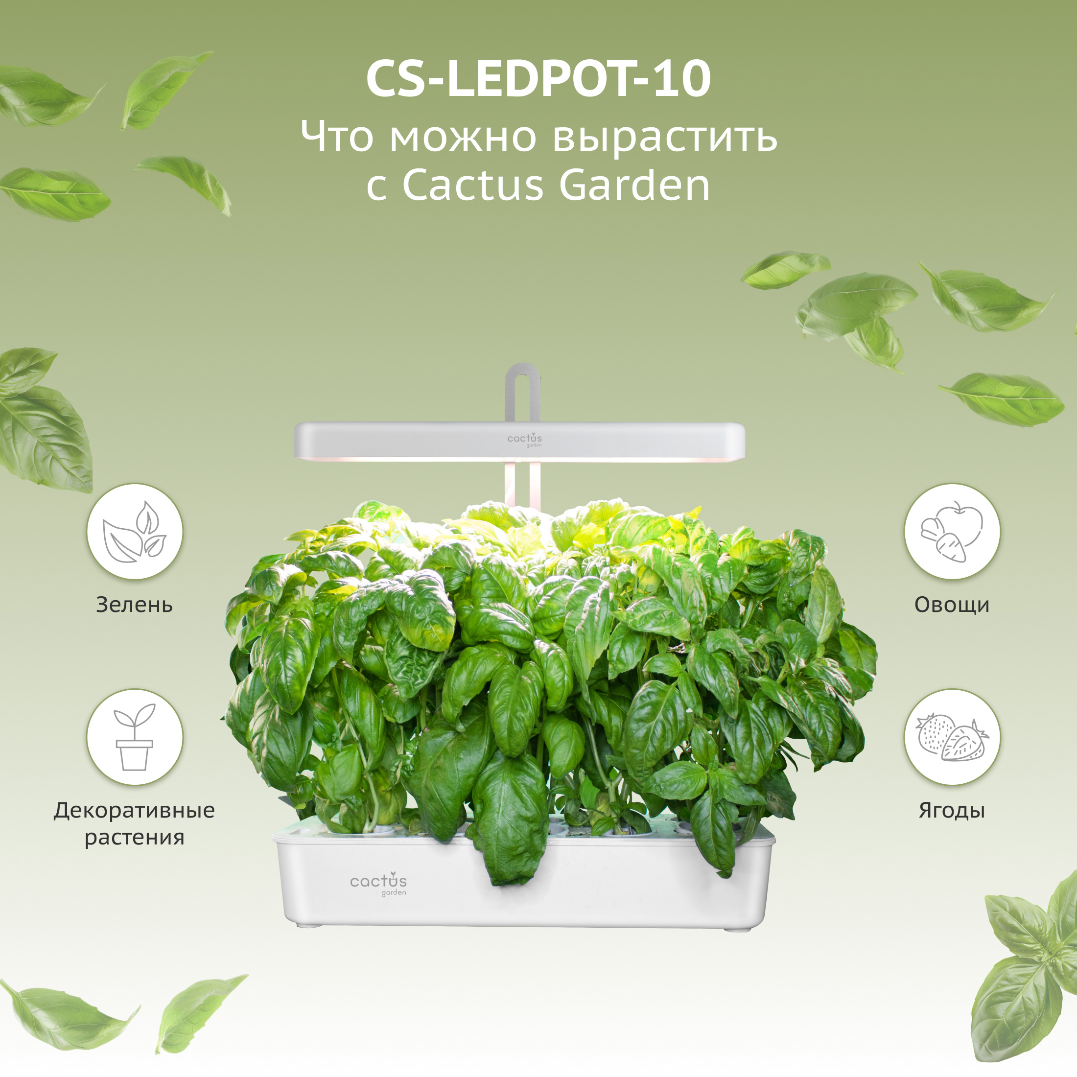 CS-LEDPOT-10