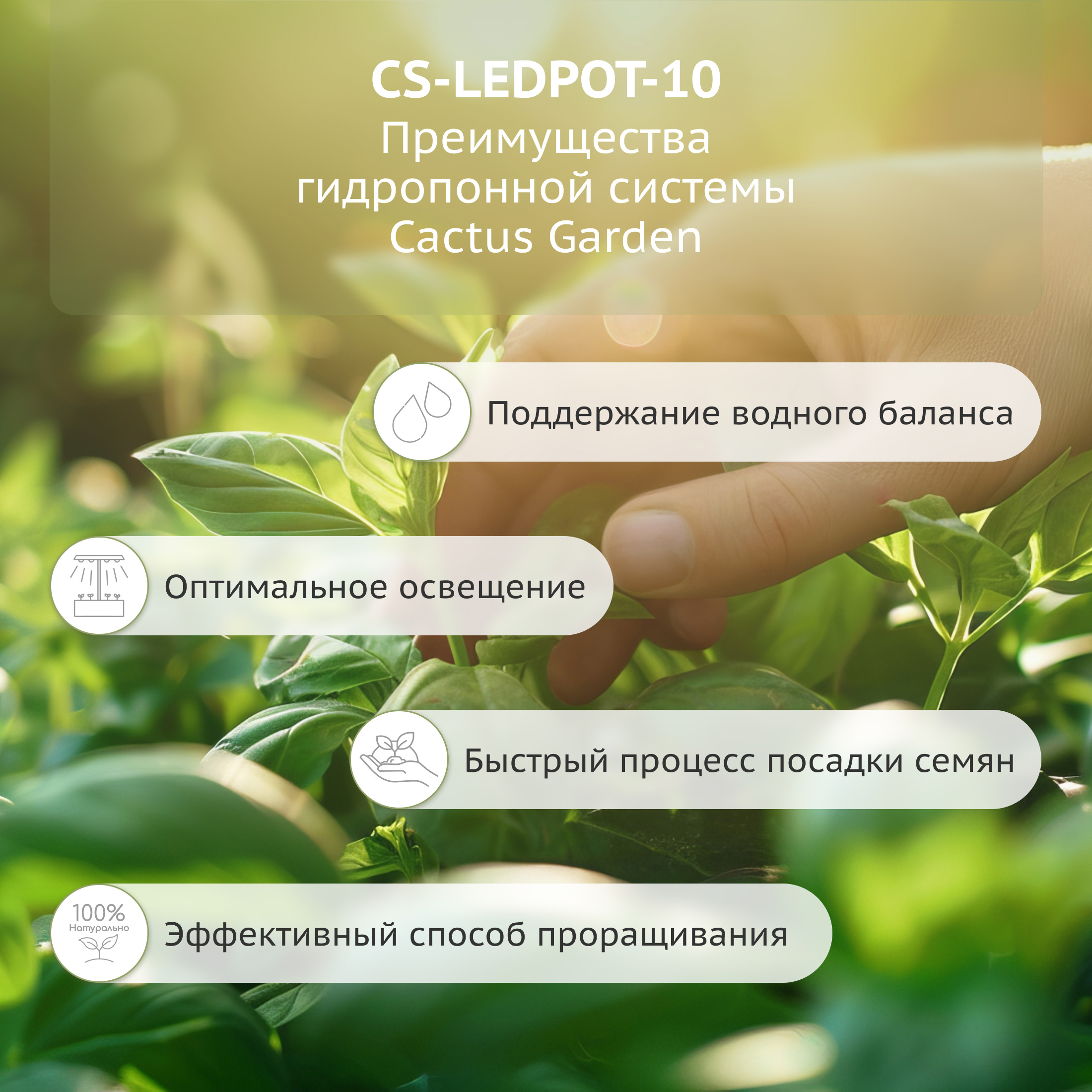 CS-LEDPOT-10