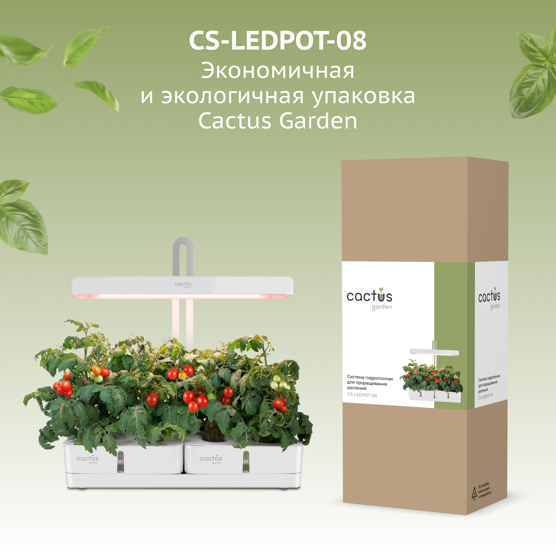 CS-LEDPOT-08