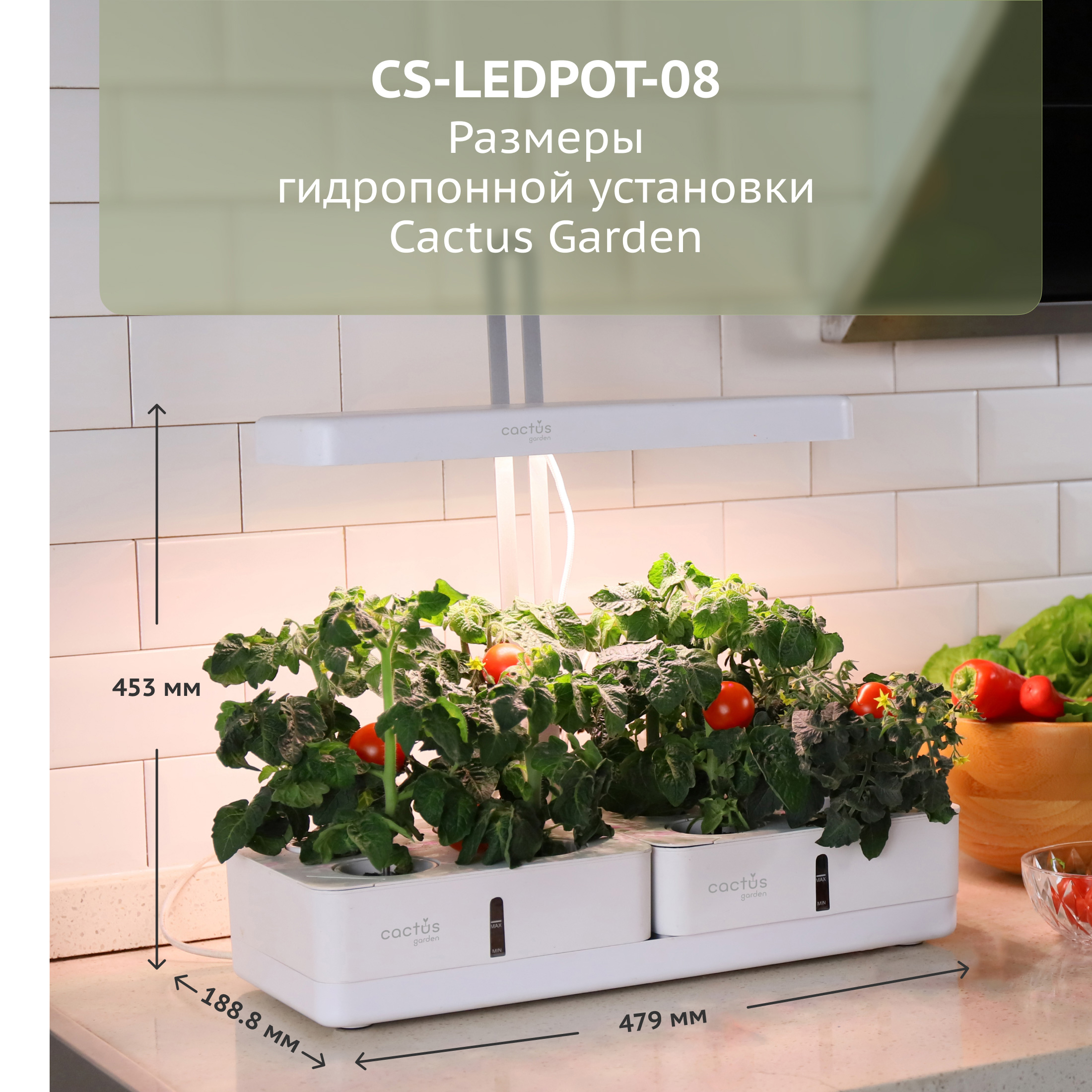 CS-LEDPOT-08