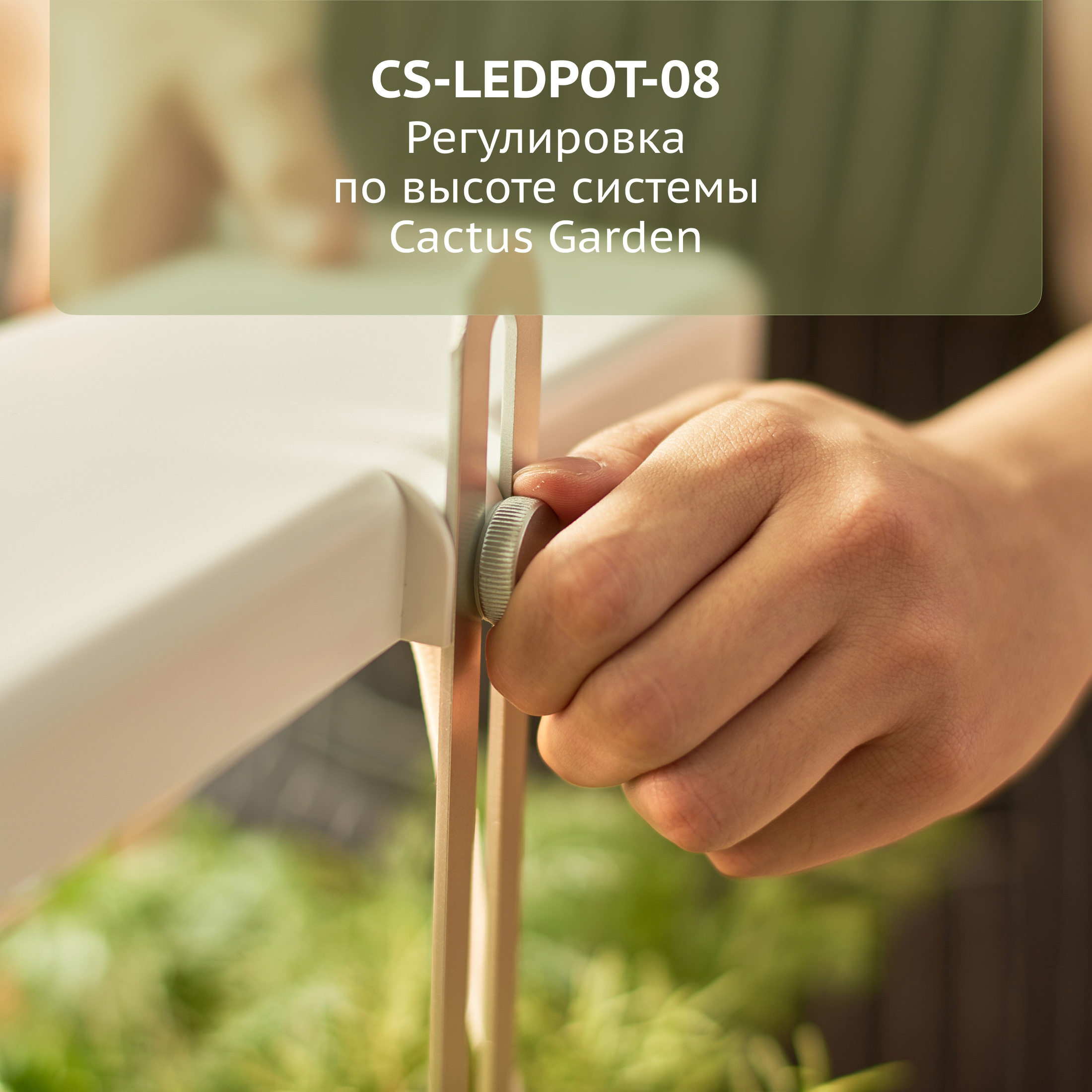 CS-LEDPOT-08