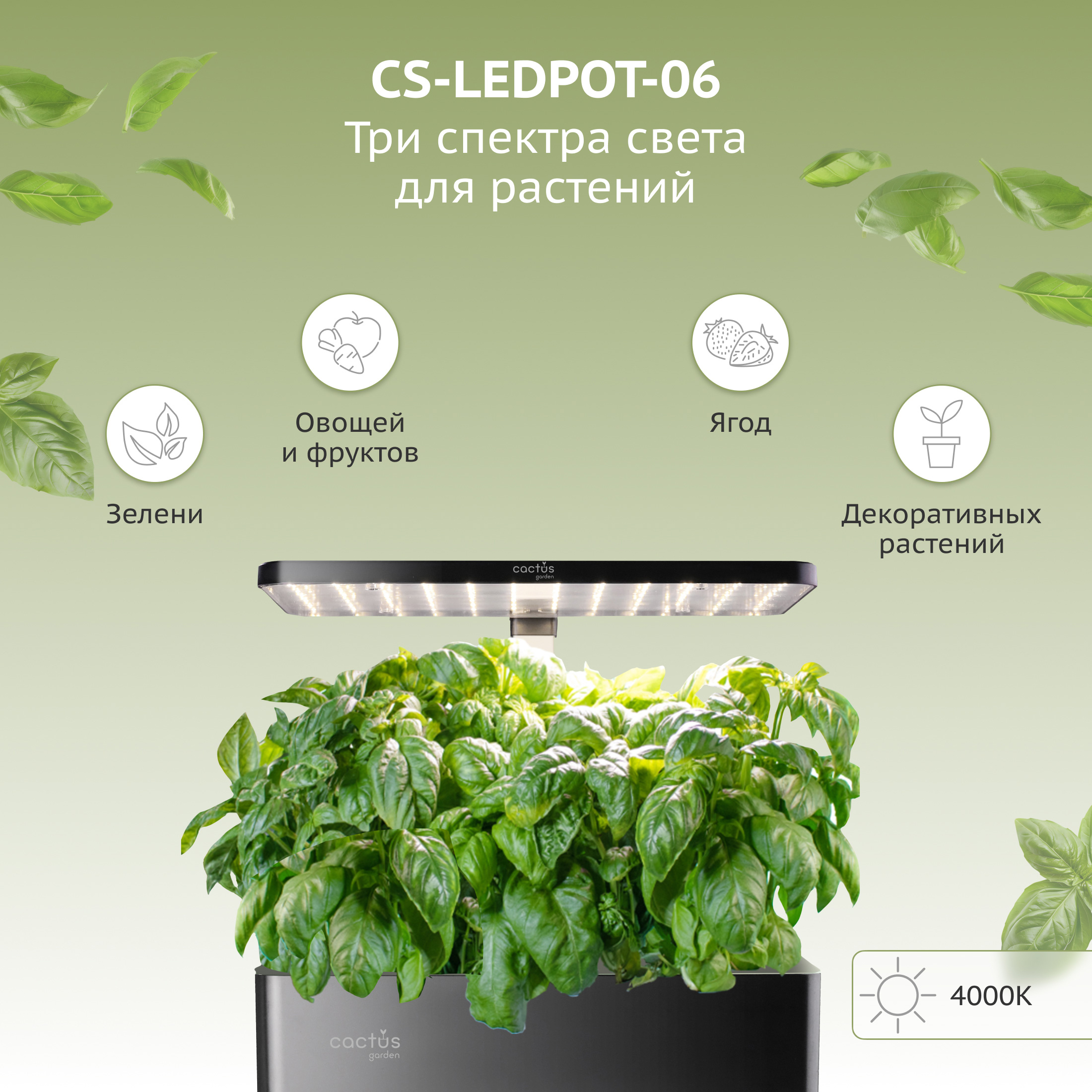 CS-LEDPOT-06