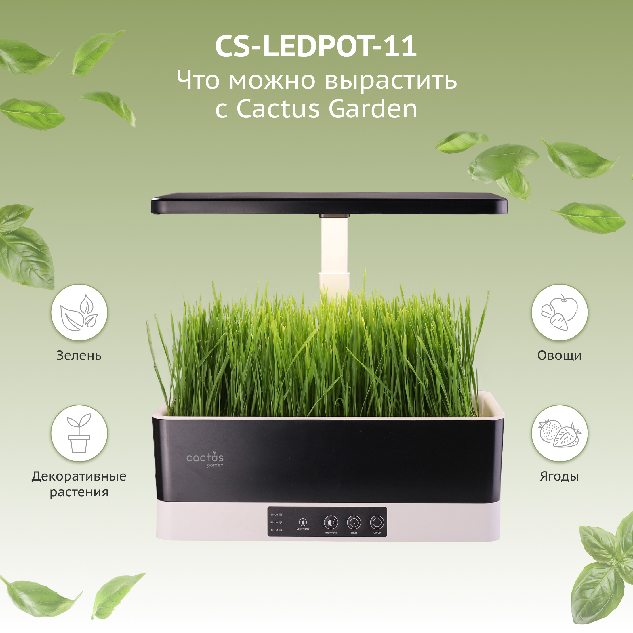 CS-LEDPOT-11