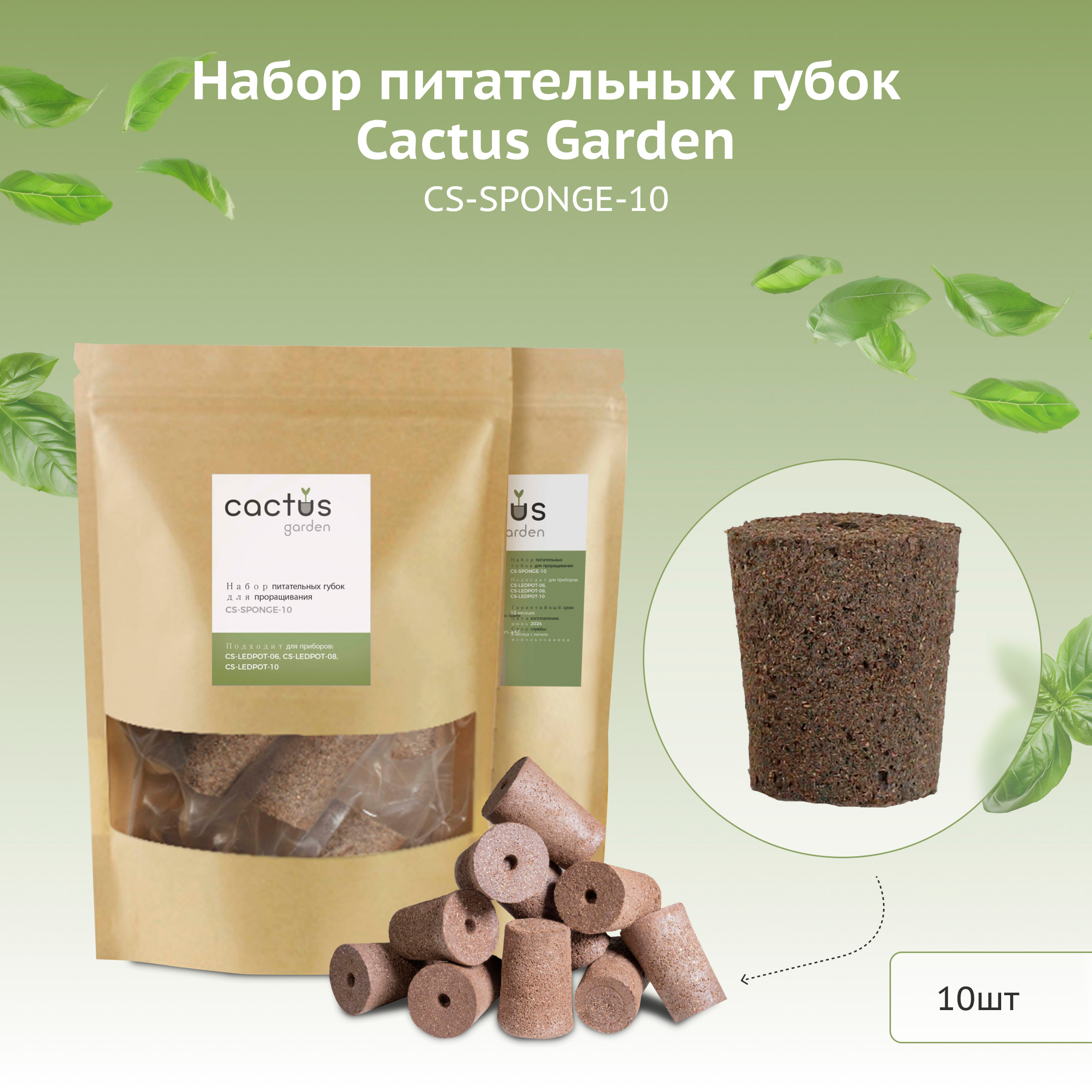 CS-SPONGE-10